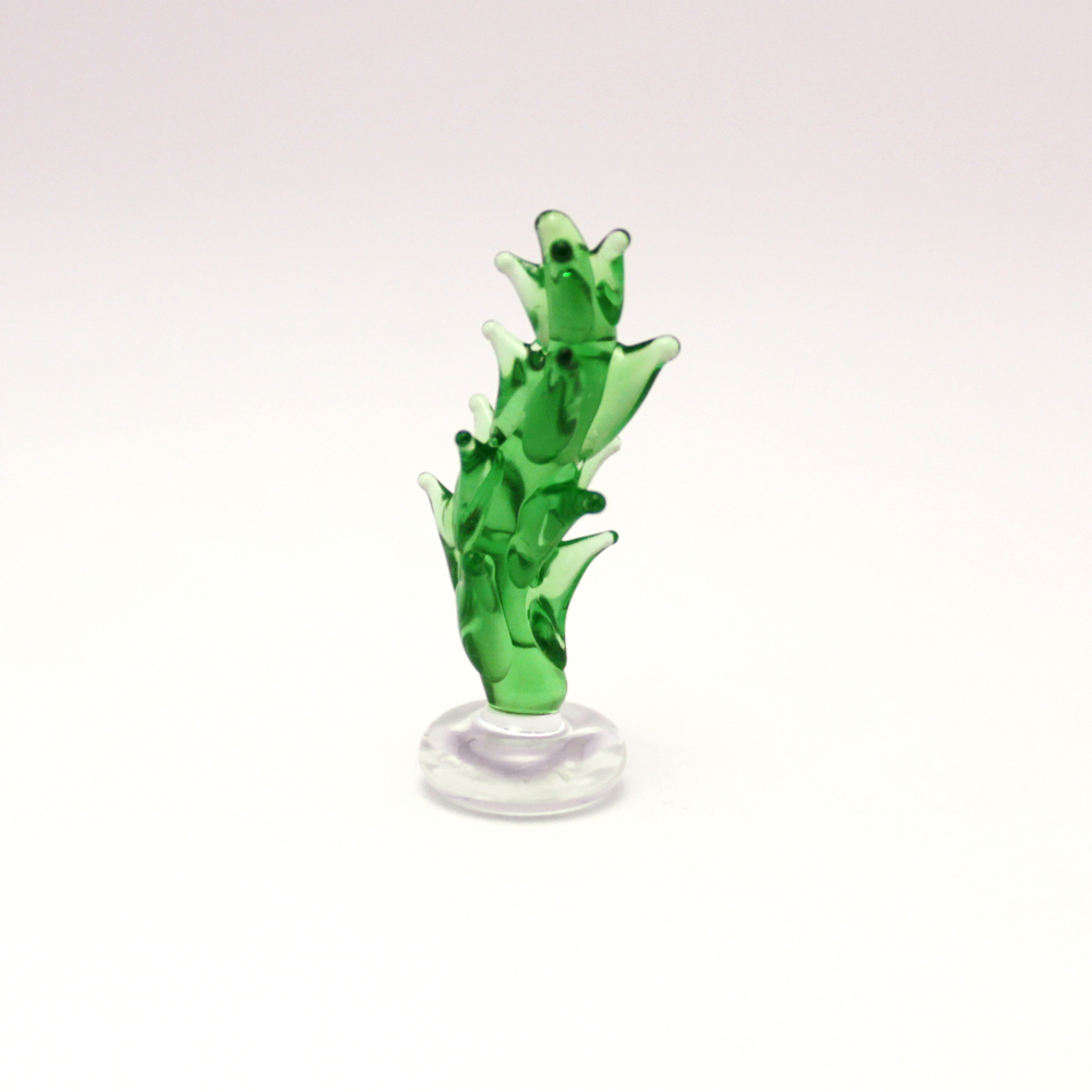 水草B 30